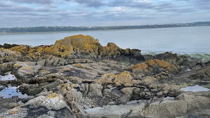 Baie de Saint-Brieuc